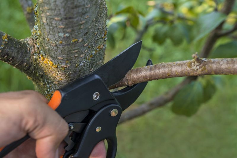 Arborist Performing Precision Trimming