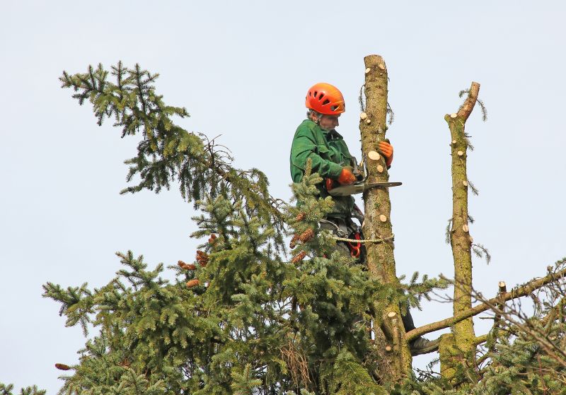 Tree Structure Maintenance